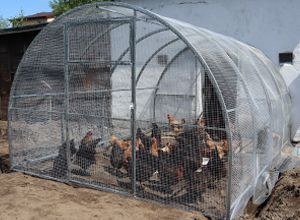 Nowy produkt w sklepie: Woliera / wybieg / kurnik / klatka dla kur oraz królików.