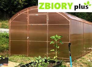 Zdjęcie szklarni Hacjenda